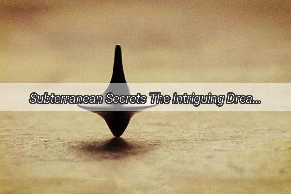 Subterranean Secrets The Intriguing Dream of Endless Gullies in Your Home